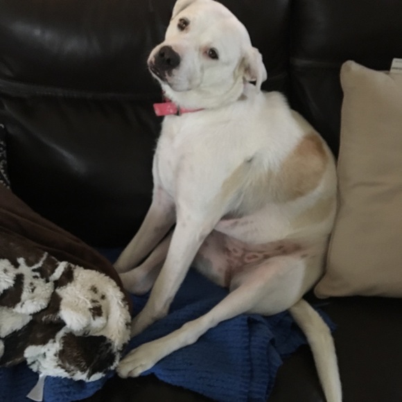 Meet your Posher, Chel - Picture 4 of 7